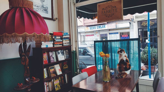 Moda'ya Gitmeniz için 10 Sebep