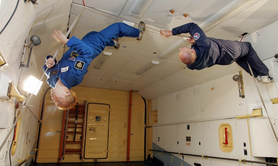 Yeni Yıl Geyikleri: Milli Piyango Bileti Kazanırsanız Ne Yaparsınız?
