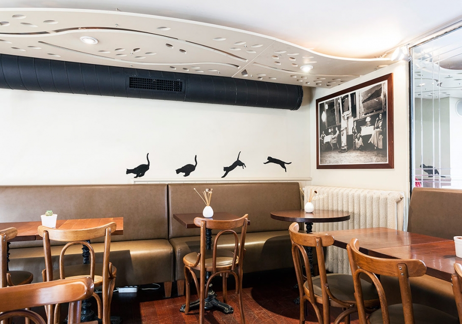 İstanbul'un Hayvan Dostu Mekanları