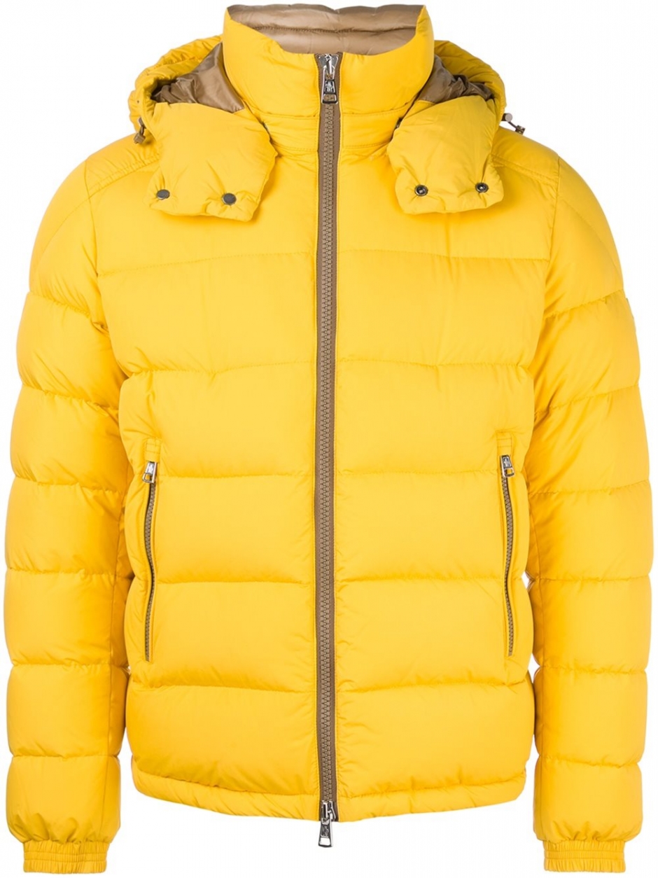 Sarı Rengi Doğru Kullanmak: Lewis Hamilton