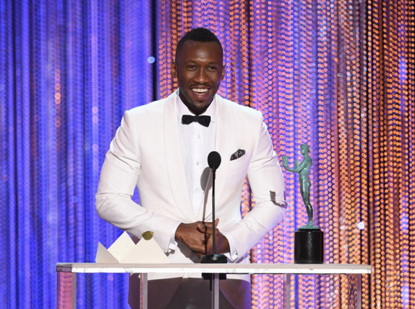 Screen Actors Guild Awards 2017 Kazananları Screen Actors Guild Awards 2017 Kazananları