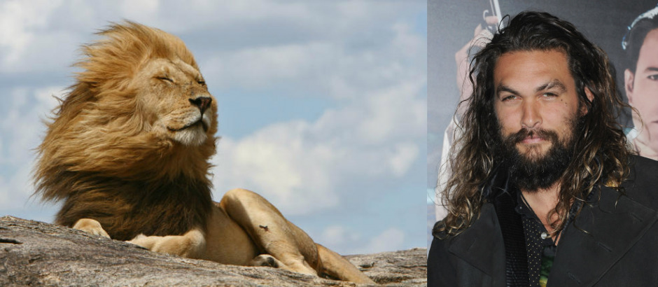 Saç İlhamımız Hayvan Aleminden Mi Geliyor?