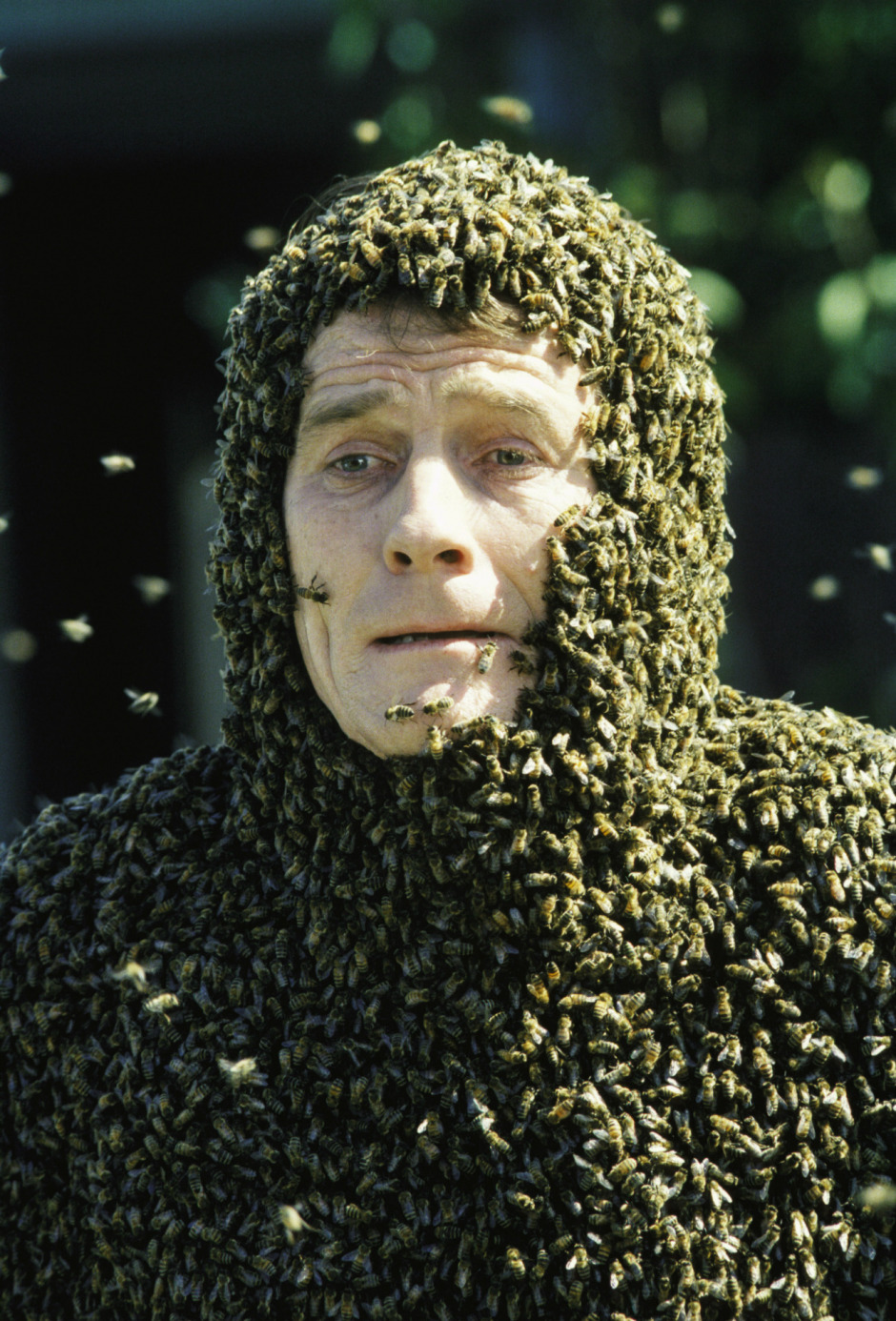 Yoldan Çıkanlara Selam Olsun: Heisenberg 61 Yaşında