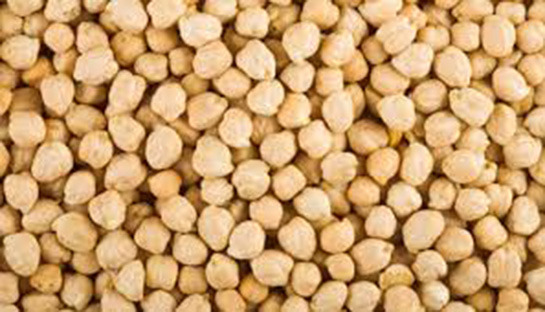 Spora Gitmeden Önce Ne Yemek Lazım?