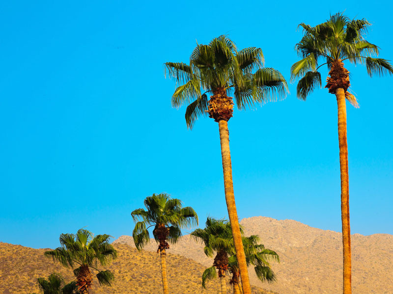 Mart'ta Seyahat Edilecek En İyi 7 Yer