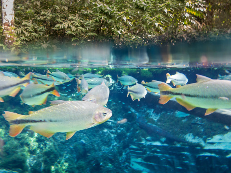 Dünyanın En Mavi Suları Dünyanın En Mavi Suları