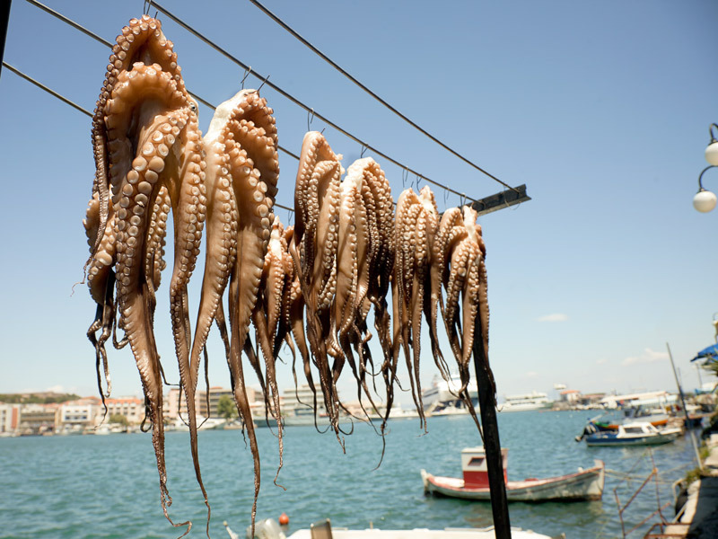Hangi Yunan Adası Tam Sizlik? Hangi Yunan Adası Tam Sizlik?