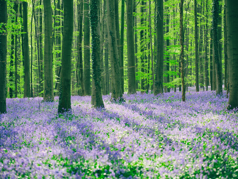 Masalları Anımsatan 20 Yer