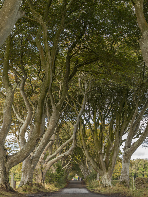 Masalları Anımsatan 20 Yer