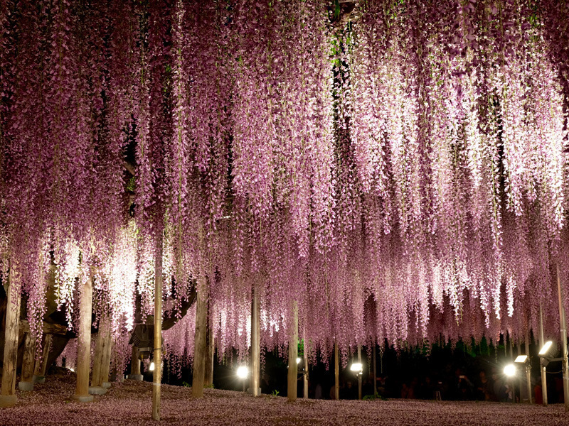 Masalları Anımsatan 20 Yer