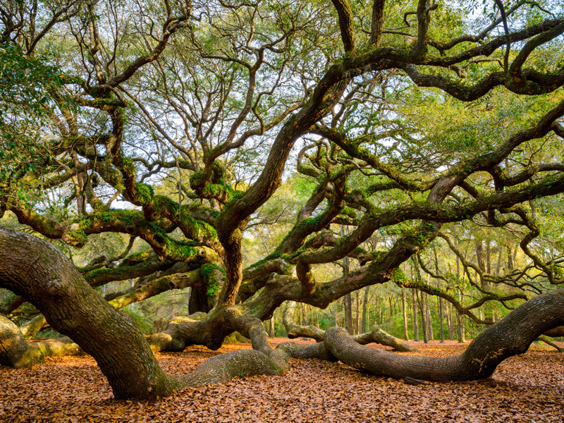 Masalları Anımsatan 20 Yer