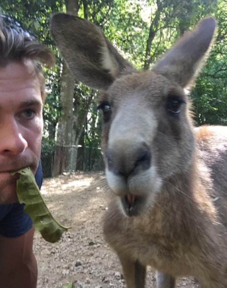 Instagram Takibi: Chris Hemsworth