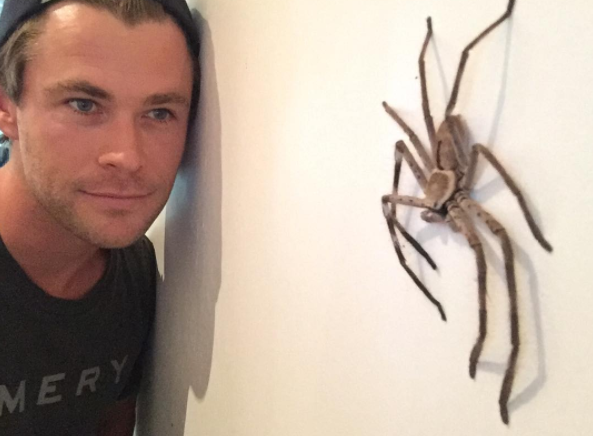 Instagram Takibi: Chris Hemsworth