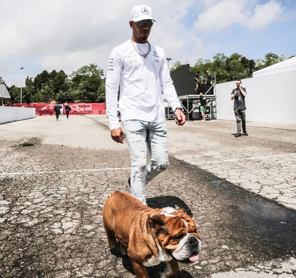 Instagram Takibi: Lewis Hamilton