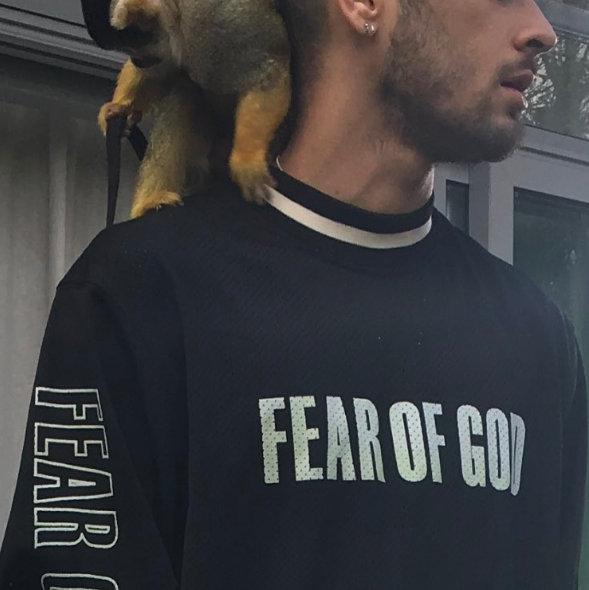 Instagram Takibi: Zayn Malik ve Gigi Hadid