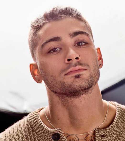 Instagram Takibi: Zayn Malik ve Gigi Hadid