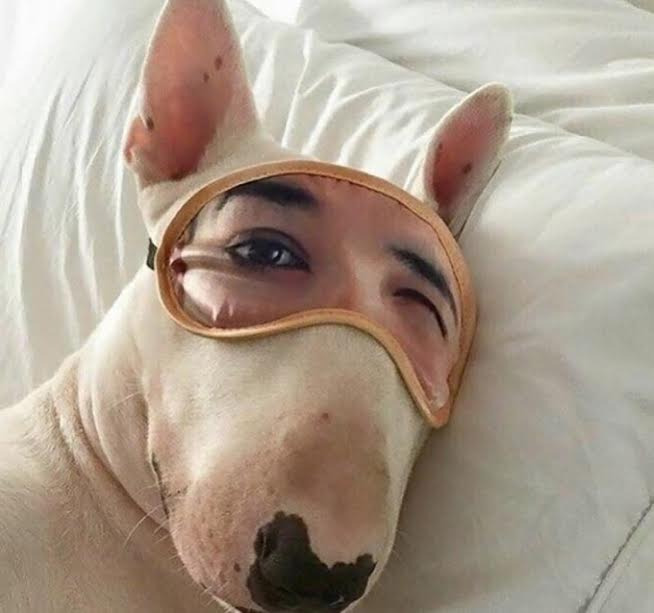 Aklı Karıştıran Fotoğraflar