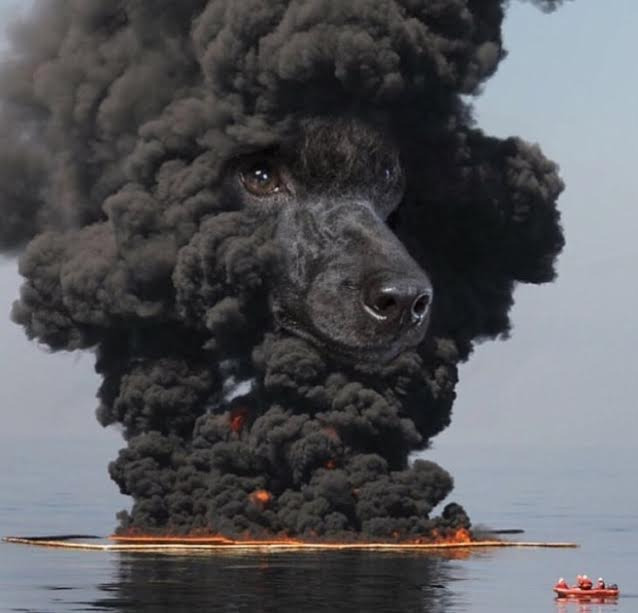 Aklı Karıştıran Fotoğraflar