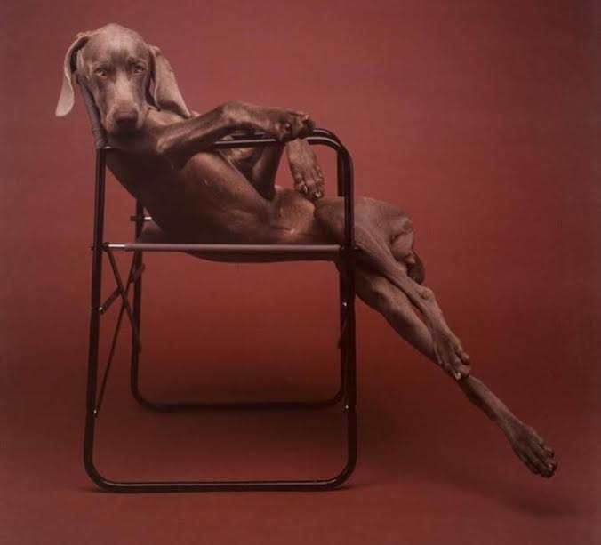 Aklı Karıştıran Fotoğraflar