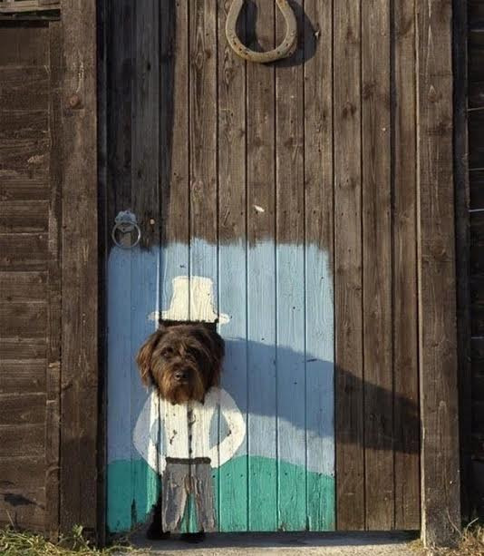 Aklı Karıştıran Fotoğraflar