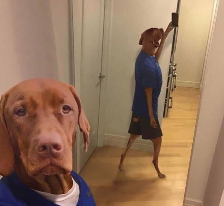 Aklı Karıştıran Fotoğraflar