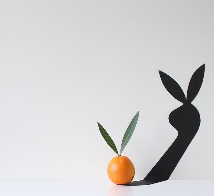 Aklı Karıştıran Fotoğraflar