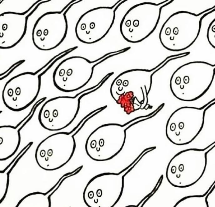 Aklı Karıştıran Fotoğraflar