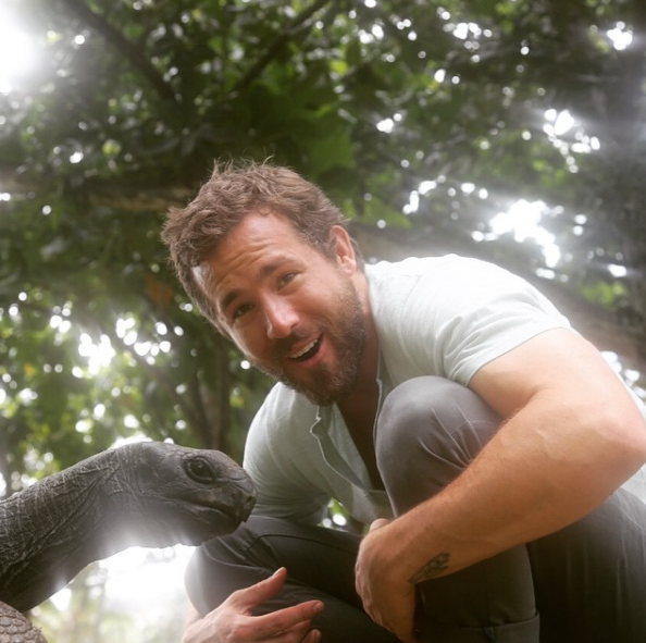 Instagram Takibi: Ryan Reynolds