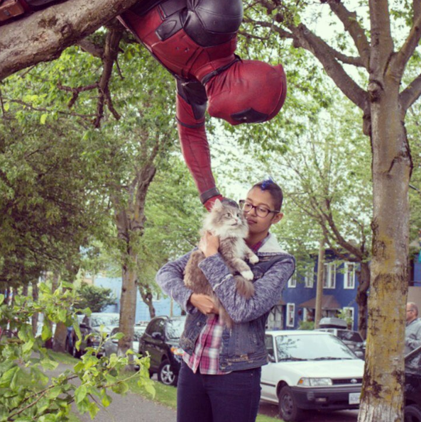 Instagram Takibi: Ryan Reynolds