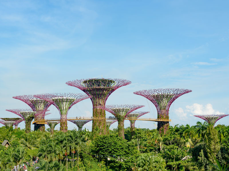 Dünyanın En Sağlıklı 10 Ülkesi