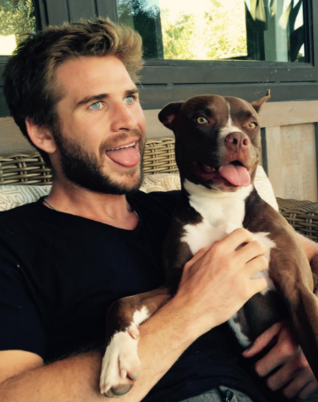 Instagram Takibi: Liam Hemsworth Instagram Takibi: Liam Hemsworth