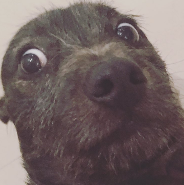 Instagram Takibi: Liam Hemsworth Instagram Takibi: Liam Hemsworth