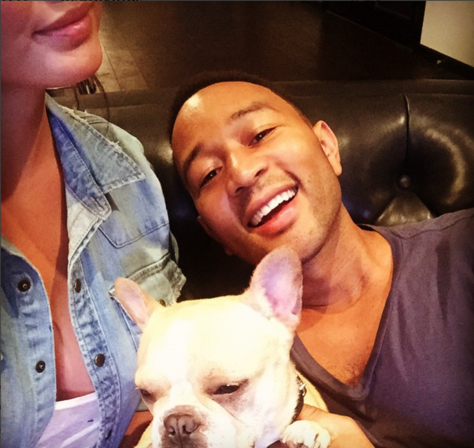 Onlar da bizden: Köpek sever ünlüler