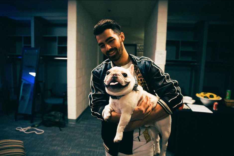 Onlar da bizden: Köpek sever ünlüler