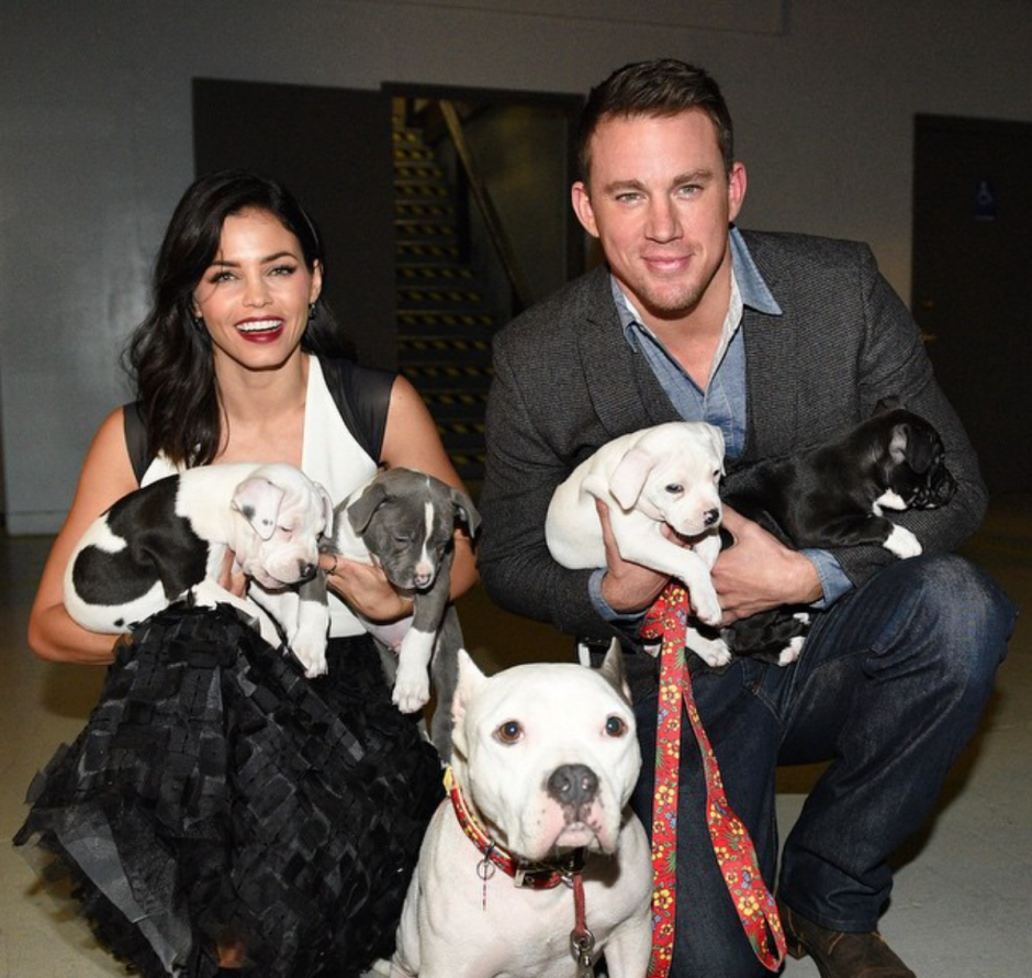 Onlar da bizden: Köpek sever ünlüler