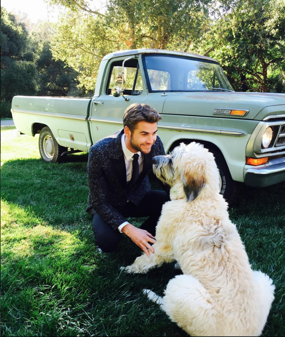 Onlar da bizden: Köpek sever ünlüler