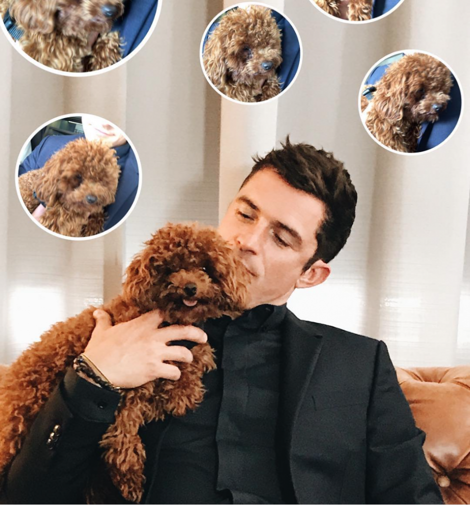 Onlar da bizden: Köpek sever ünlüler