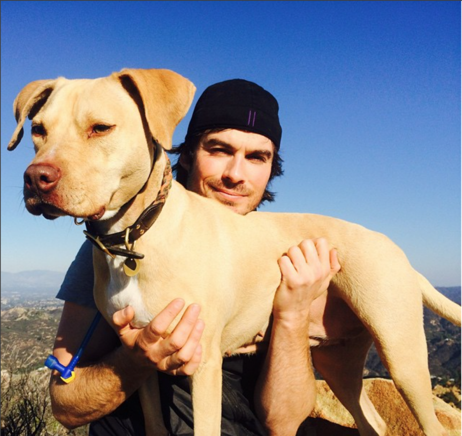 Onlar da bizden: Köpek sever ünlüler