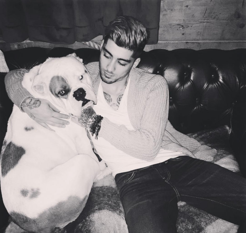 Onlar da bizden: Köpek sever ünlüler