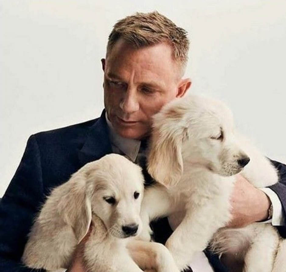 Onlar da bizden: Köpek sever ünlüler