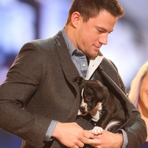 Instagram takibi: Channing Tatum