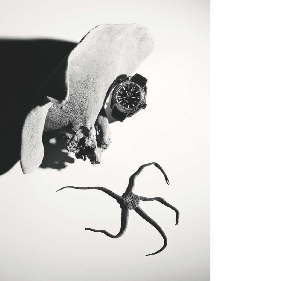 Su altını keşfe çıkın! Su altını keşfe çıkın!