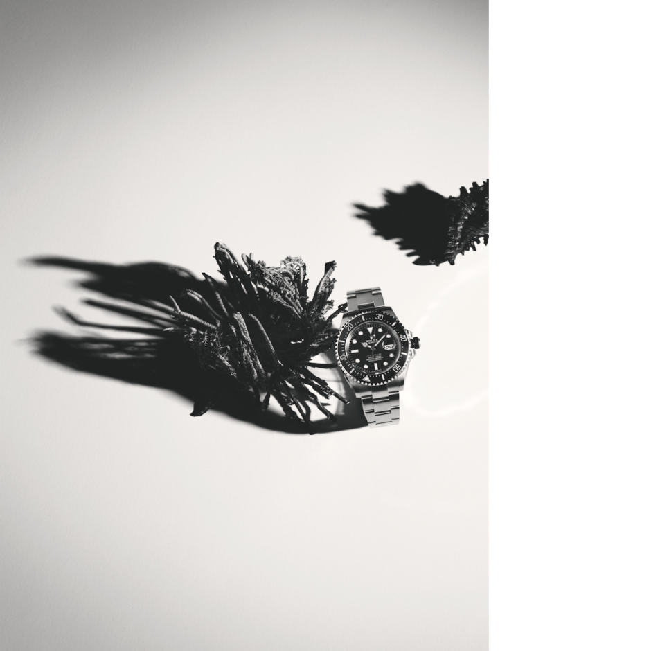 Su altını keşfe çıkın! Su altını keşfe çıkın!