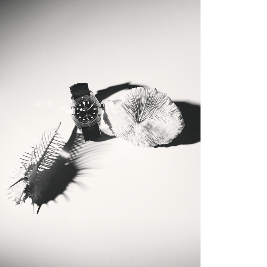 Su altını keşfe çıkın! Su altını keşfe çıkın!