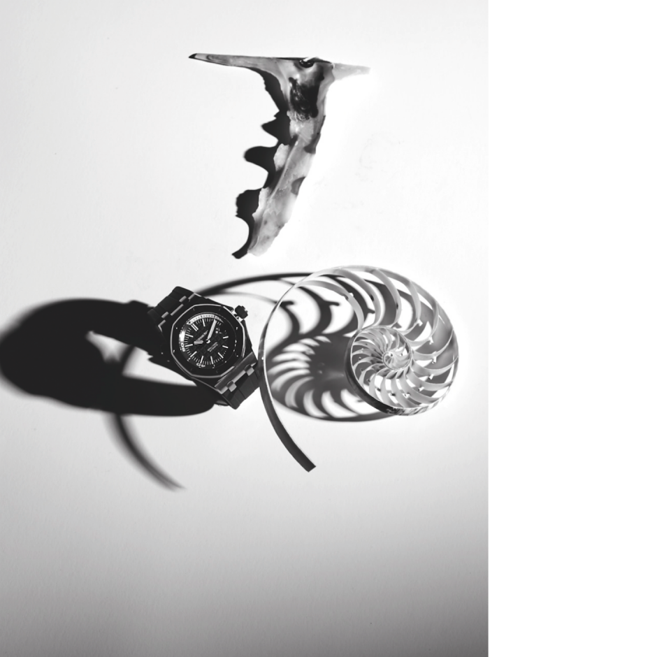 Su altını keşfe çıkın! Su altını keşfe çıkın!