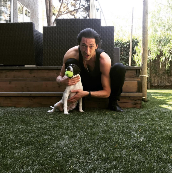 Instagram takibi: Adrien Brody