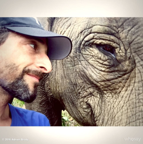 Instagram takibi: Adrien Brody