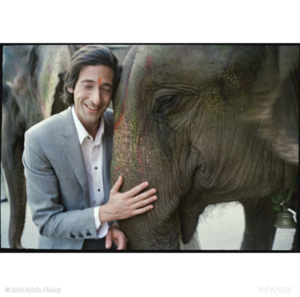 Instagram takibi: Adrien Brody
