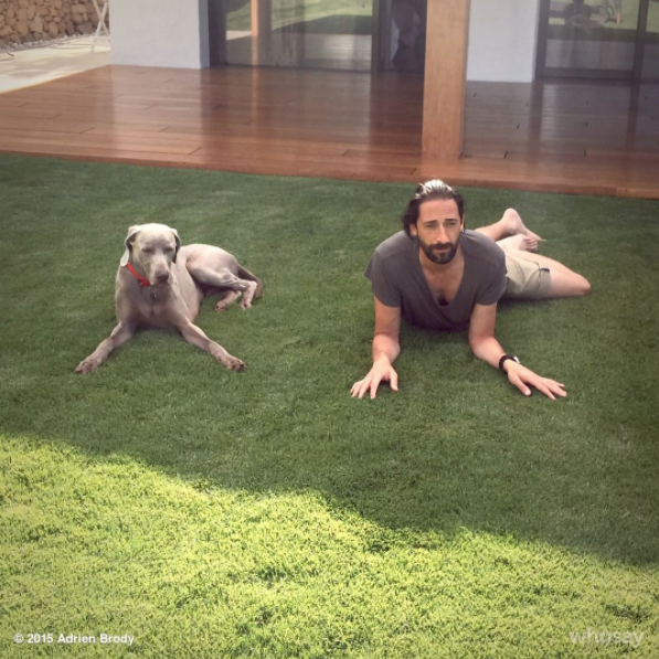 Instagram takibi: Adrien Brody