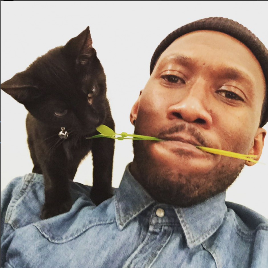Instagram takibi: Mahershala Ali
